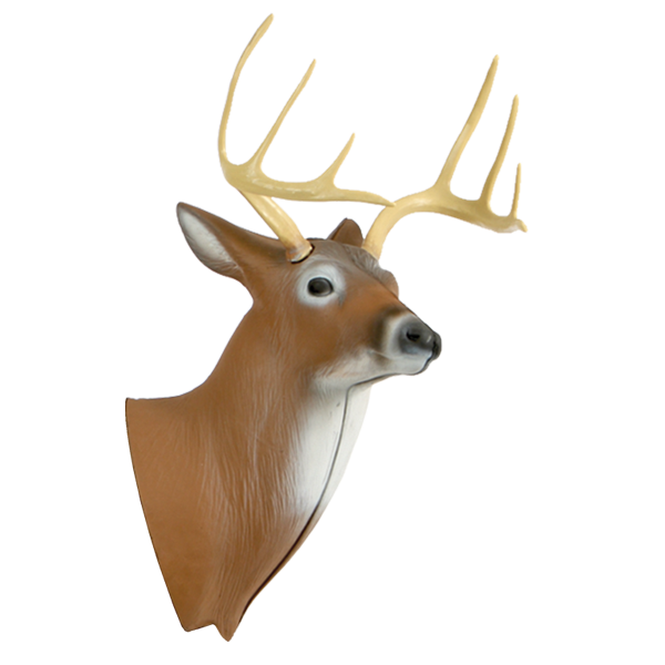 Head