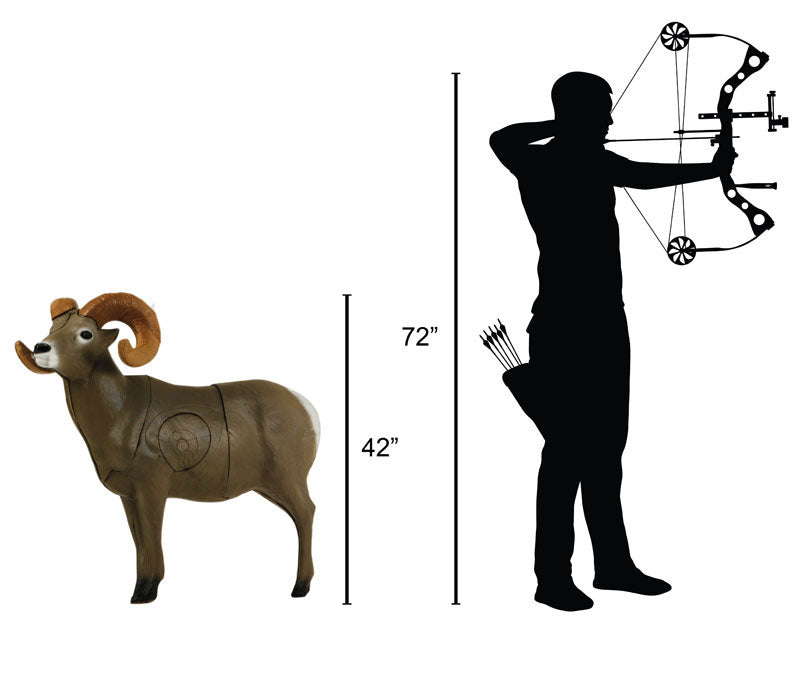 Delta McKenzie - Big Horn Sheep 3D Archery Target