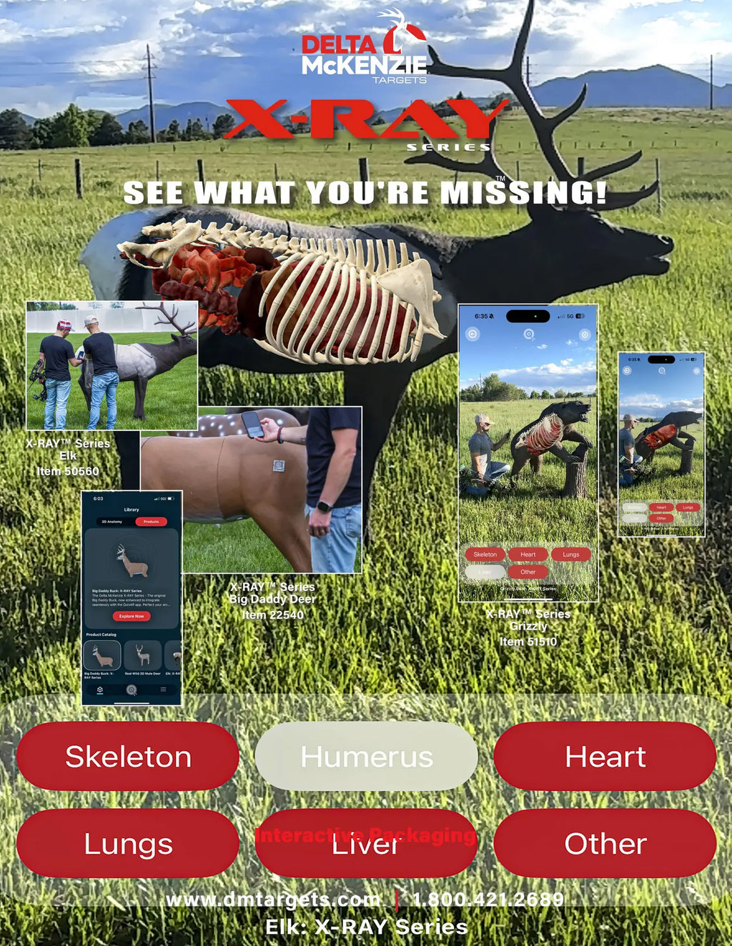 Grizzly Bear Delta McKenzie X-RAY SERIES 3D Archery Target