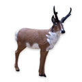 Backyard Antelope 3D Archery Target