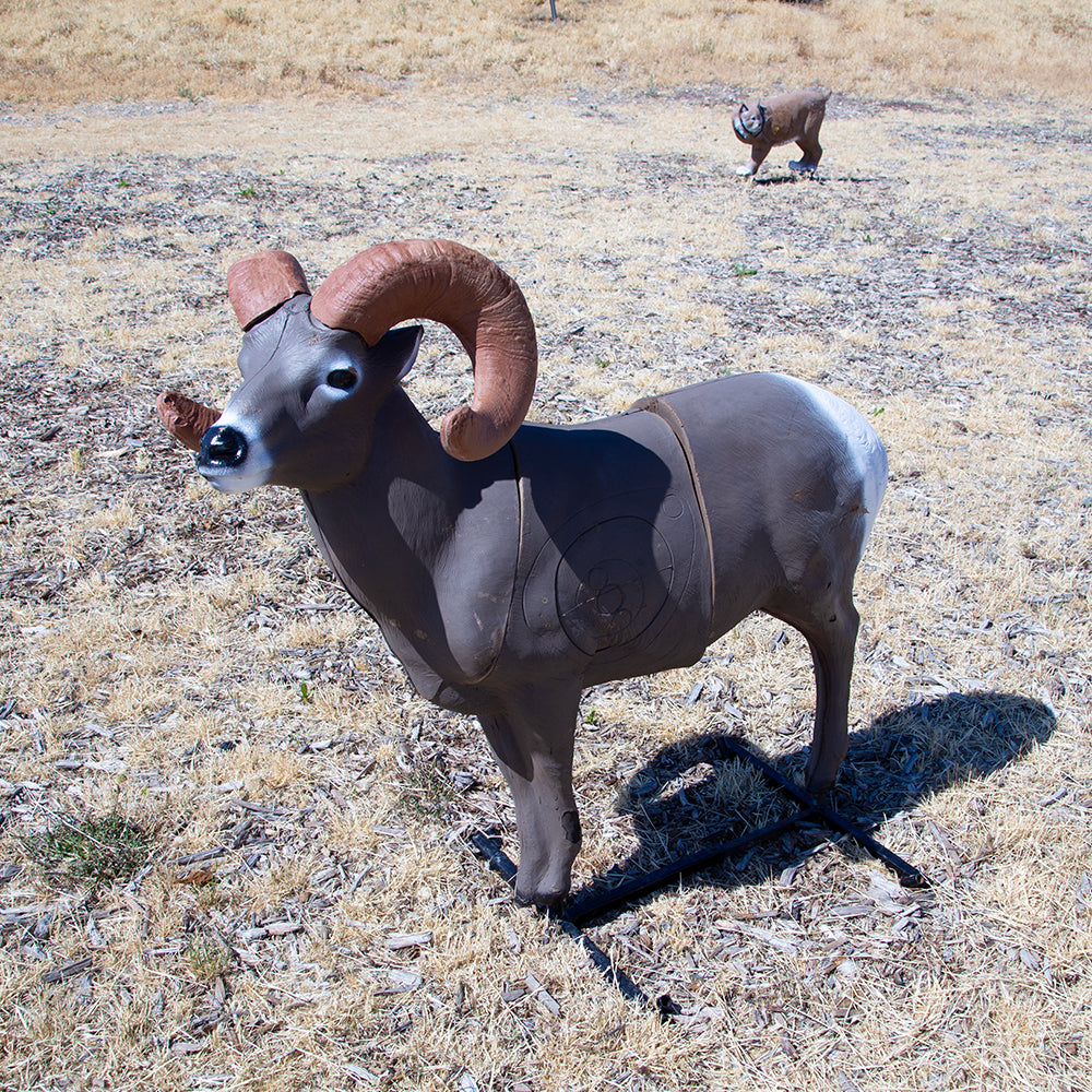 Bighorn Sheep 3D Archery Target