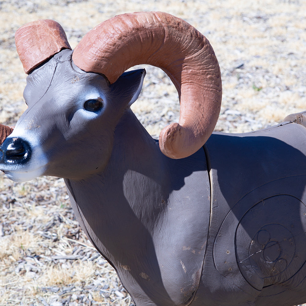Bighorn Sheep 3D Archery Target
