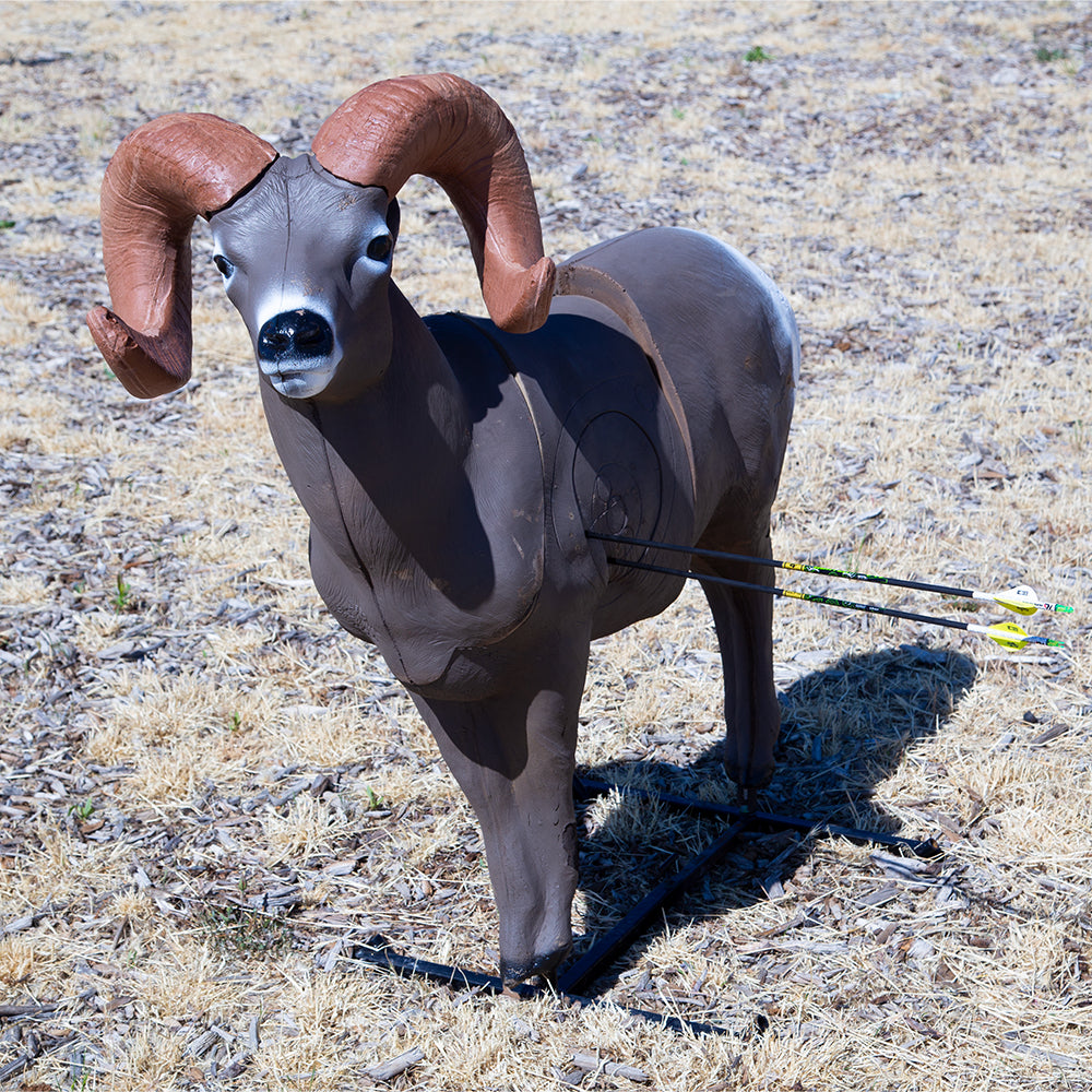 Bighorn Sheep 3D Archery Target