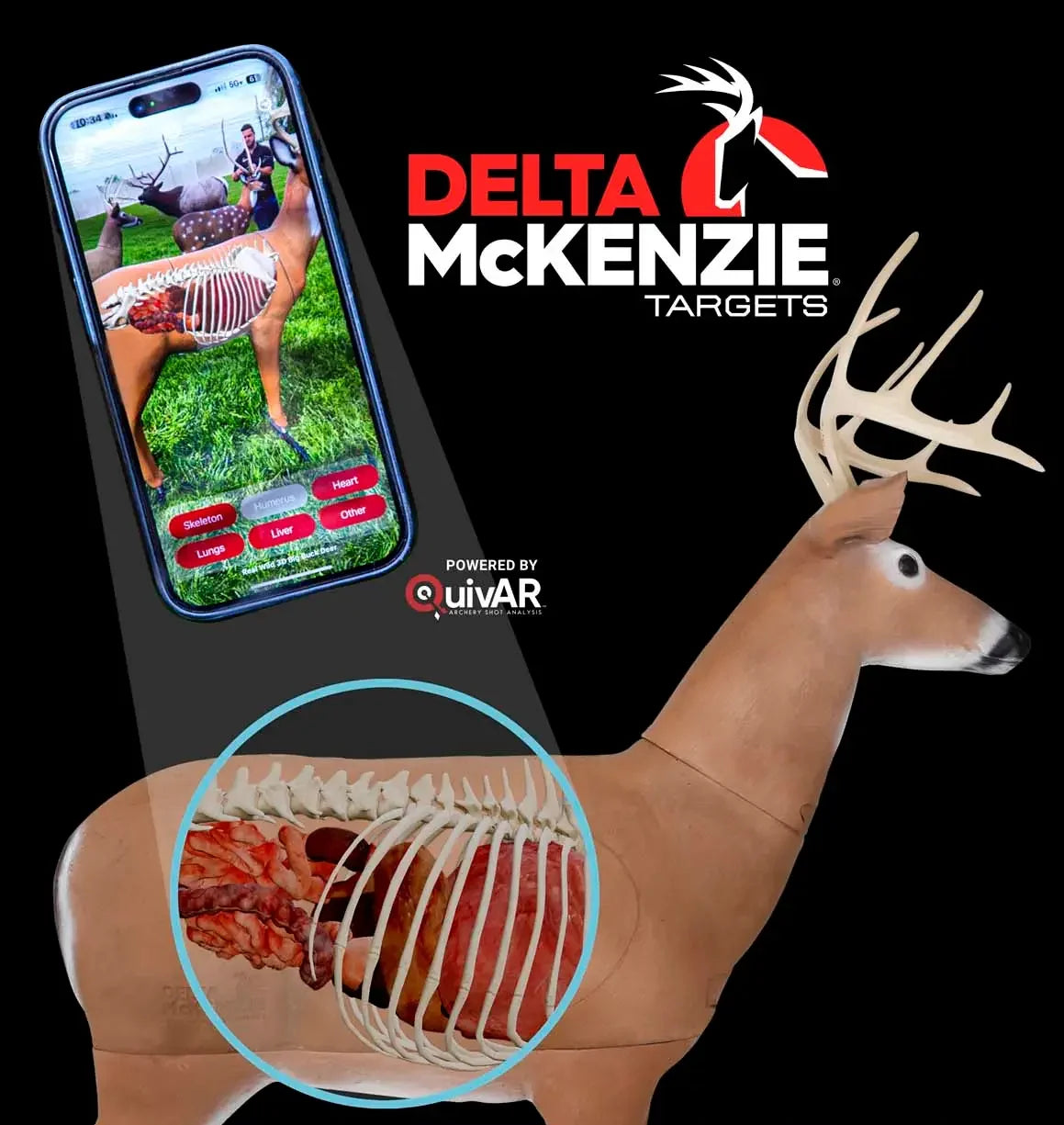 Big Daddy ™ Delta McKenzie X-RAY Series Buck Archery Target