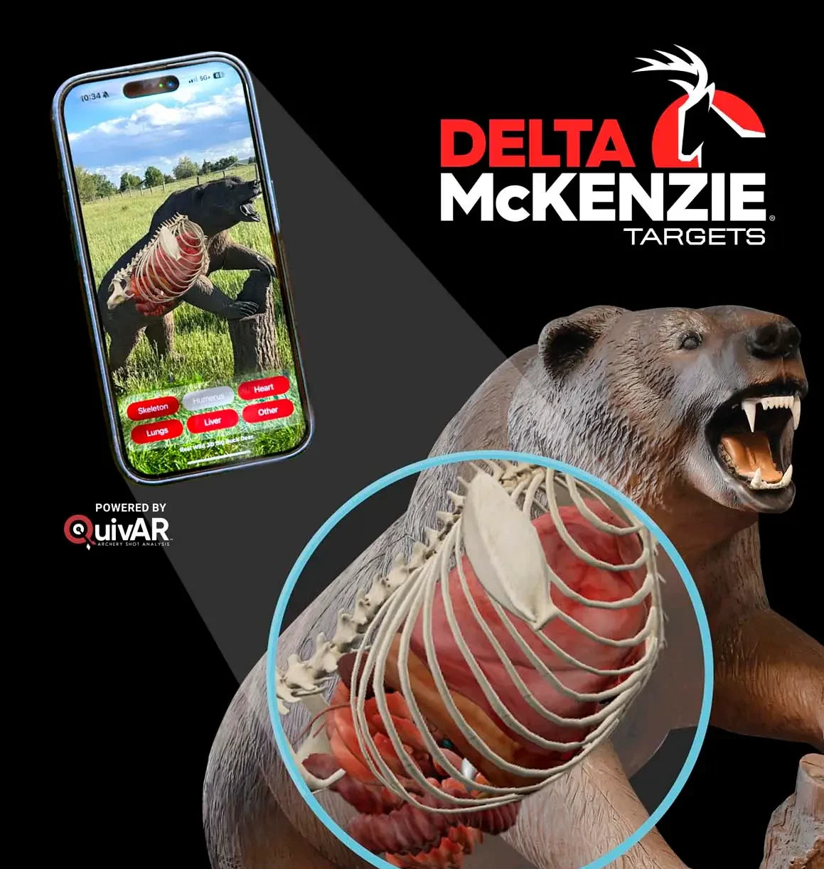 Grizzly Bear Delta McKenzie X-RAY SERIES 3D Archery Target
