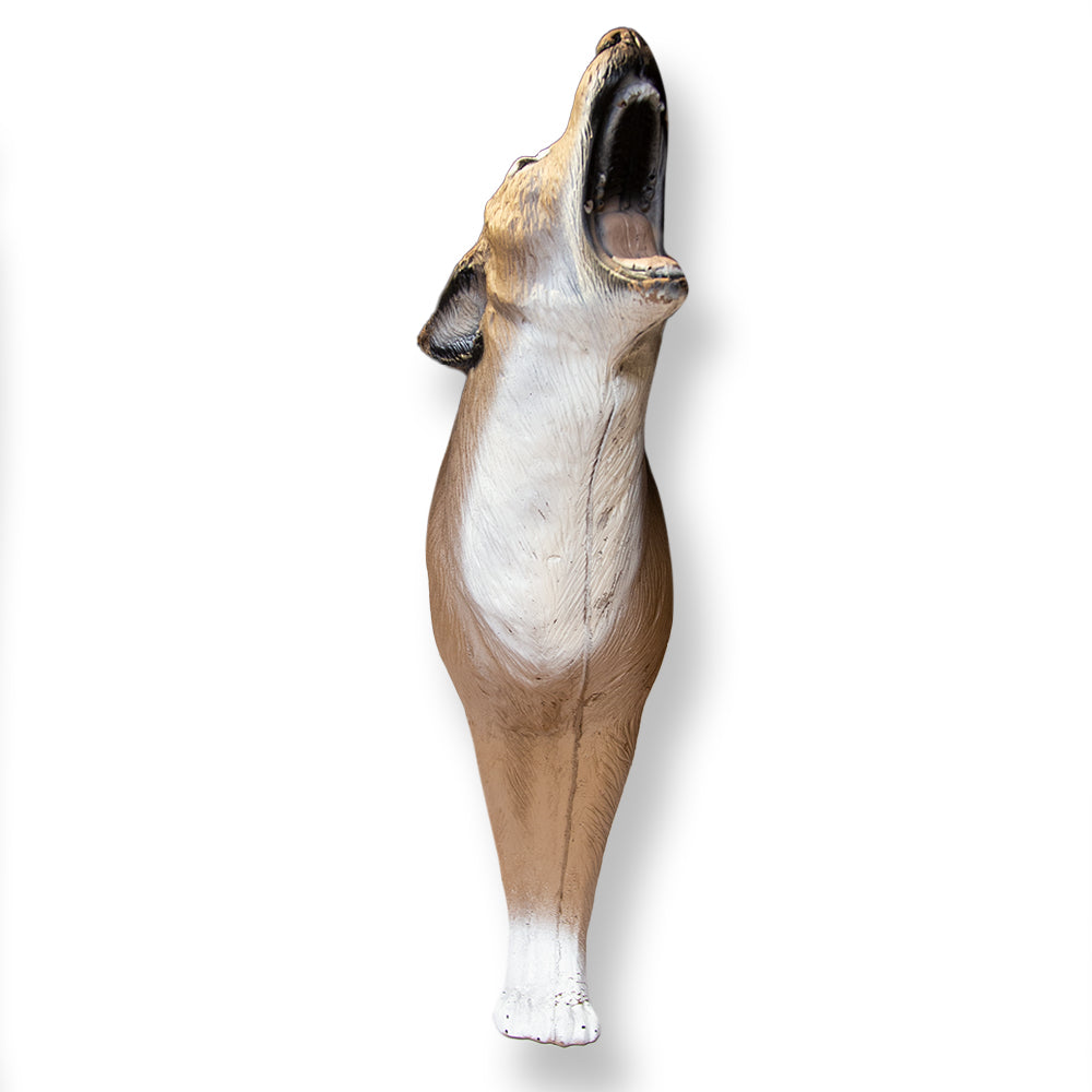 Howling Coyote 3D Archery Target