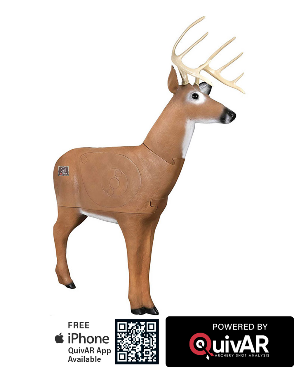 Big Daddy ™ Delta McKenzie X-RAY Series Buck Archery Target