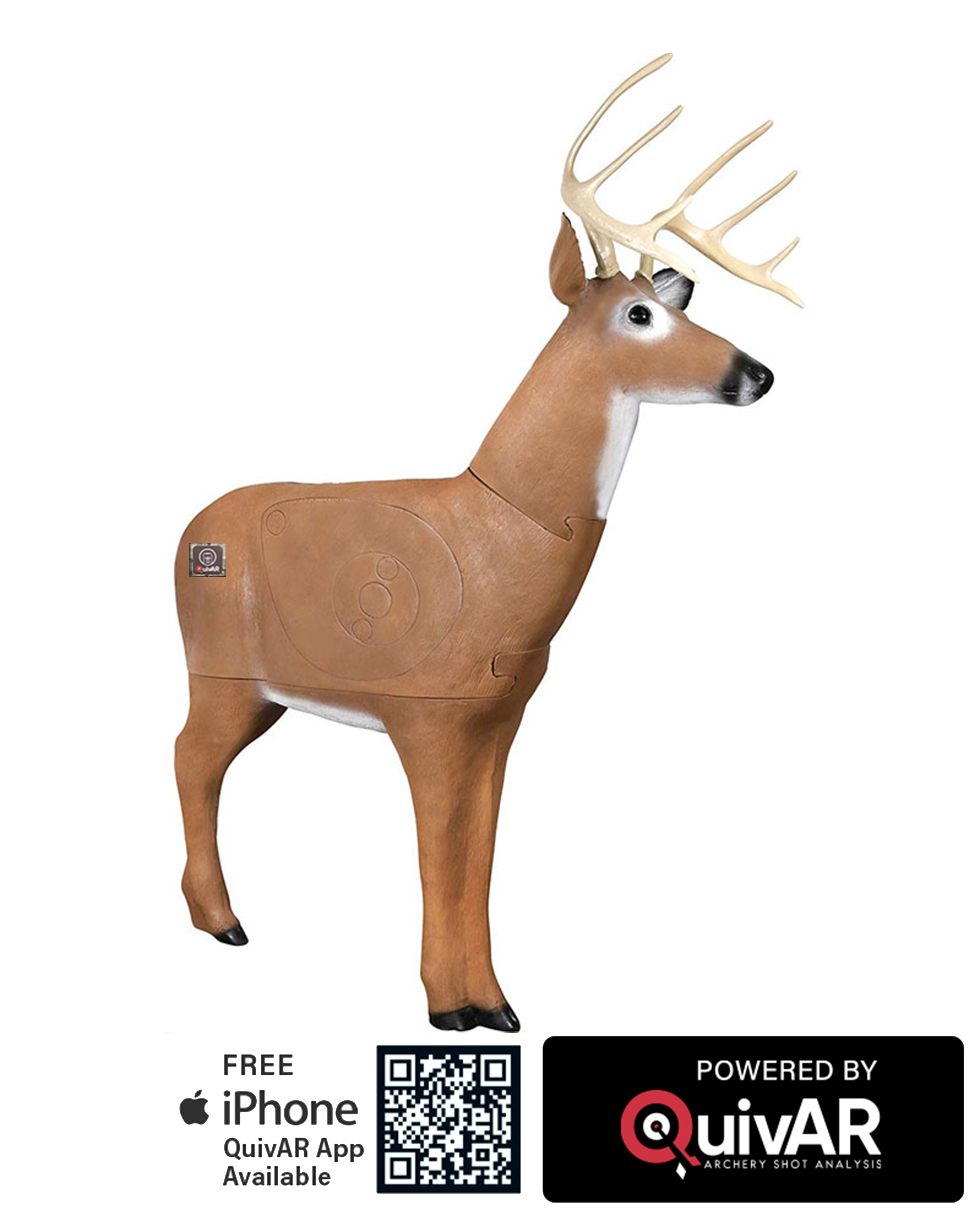 Big Daddy ™ Delta McKenzie X-RAY Series Buck Archery Target