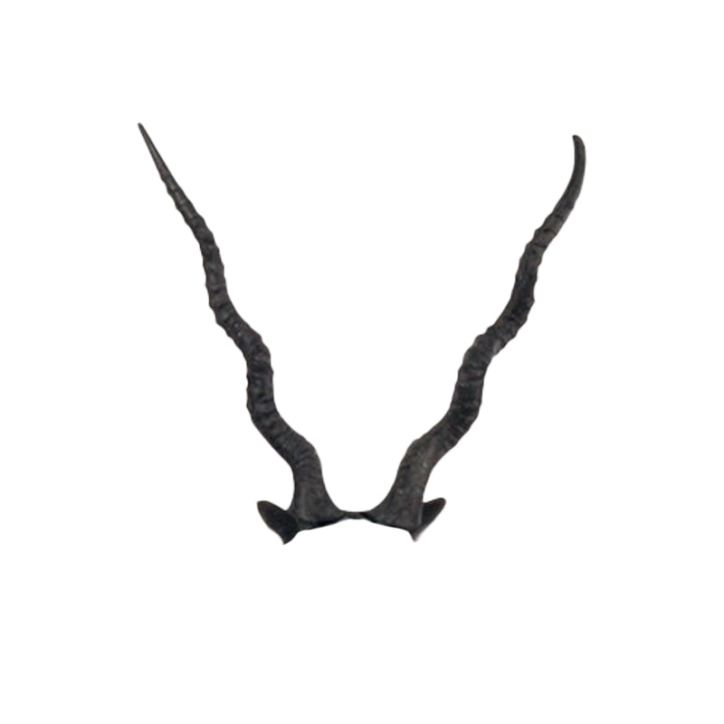 Black Buck 3D Archery Target Replacement Horns