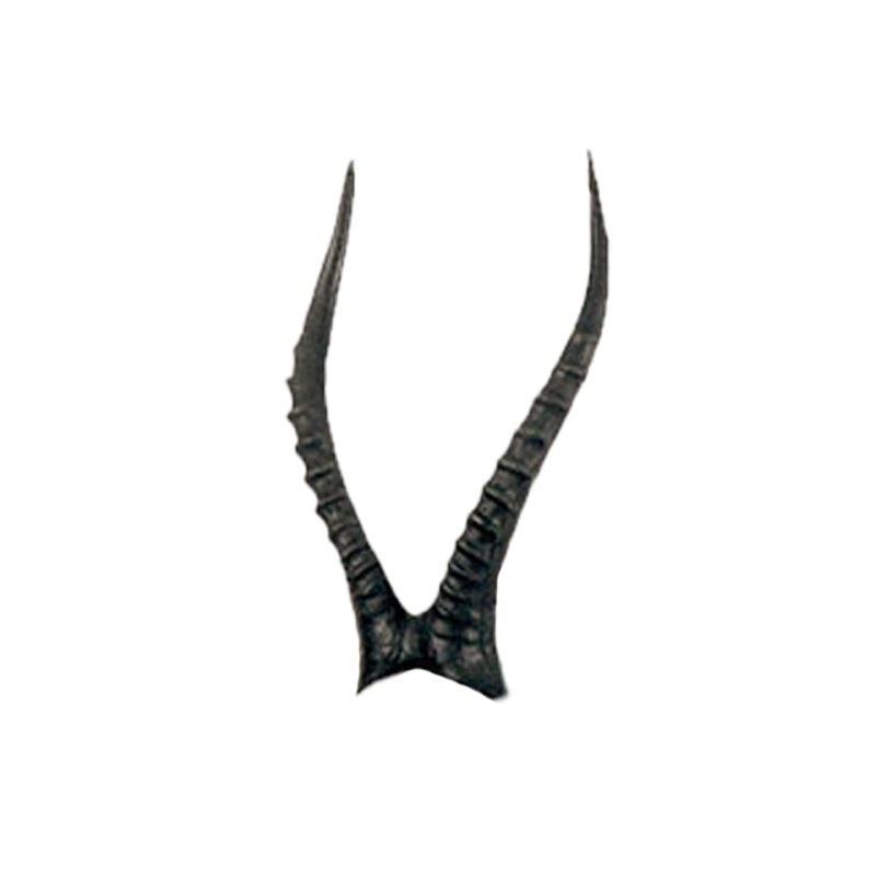 African Blesbok 3D Archery Target Replacement Horns