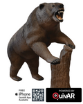Grizzly Bear Delta McKenzie X-RAY SERIES 3D Archery Target
