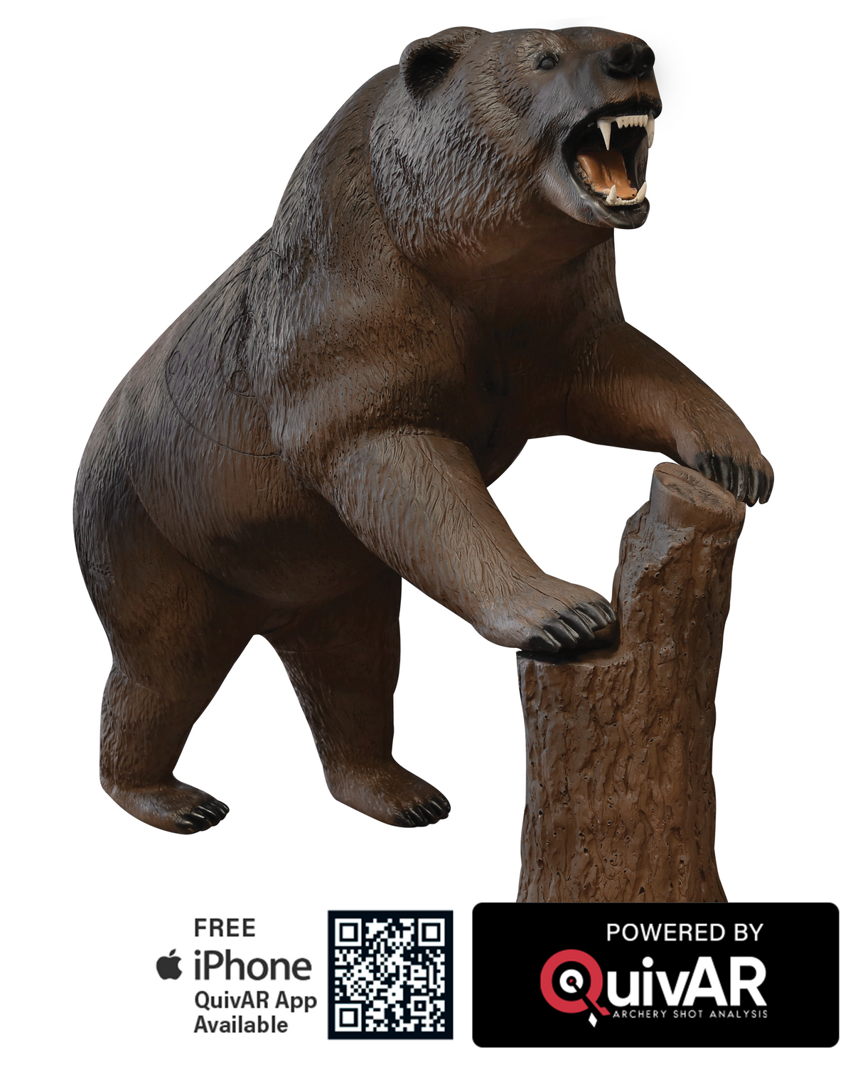 Grizzly Bear Delta McKenzie X-RAY SERIES 3D Archery Target
