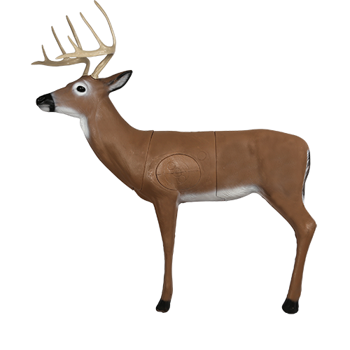 Hill Country Whitetail Archery Target