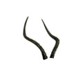 African Impala Pro 3D Target Replacement Horns