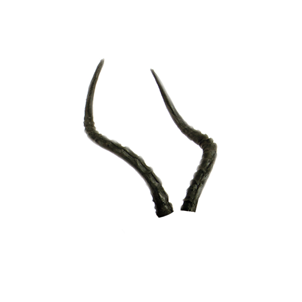 African Impala Pro 3D Target Replacement Horns