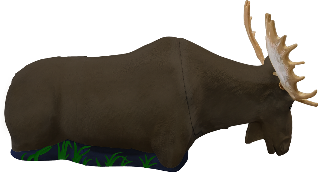 Delta McKenzie Targets - Moose Archery Target