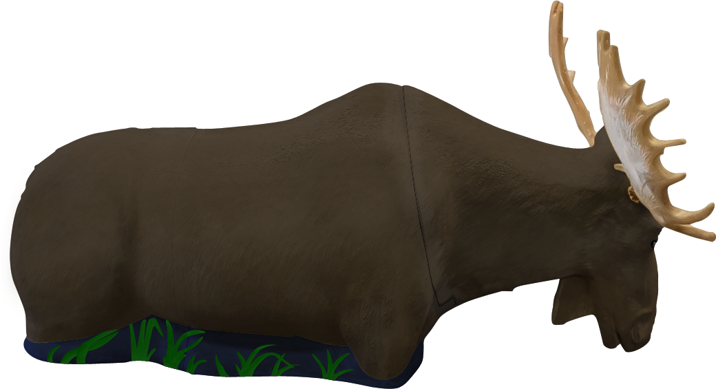 Delta McKenzie Targets - Moose Archery Target