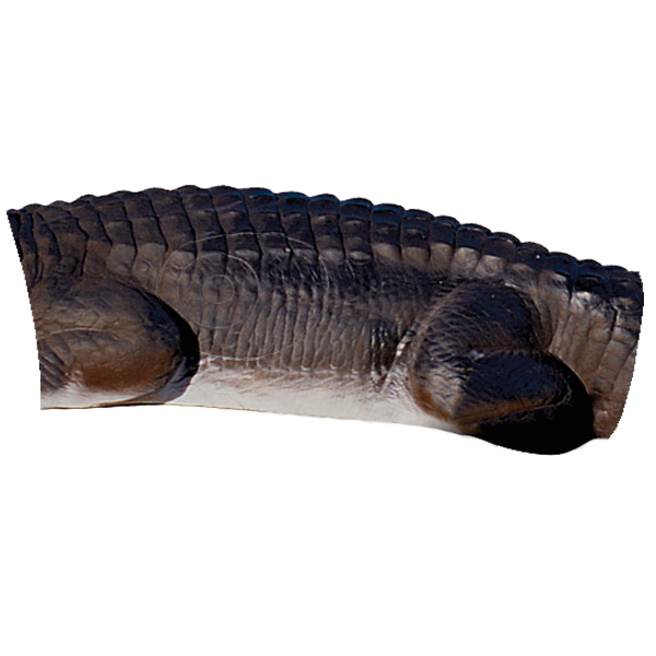 Delta McKenzie - Alligator Archery Target Midsection