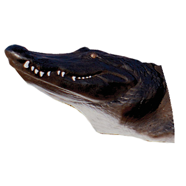 Delta McKenzie - Alligator Archery Target Replacement Head