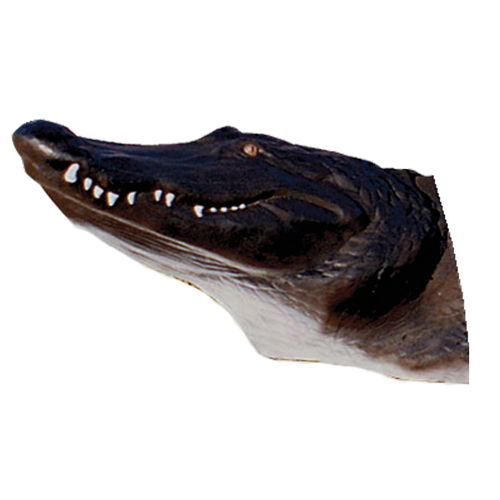 Delta McKenzie - Alligator Archery Target Replacement Head