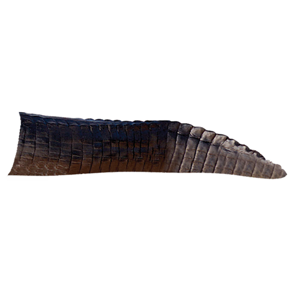Delta McKenzie - Alligator 3D Archery Target Tail