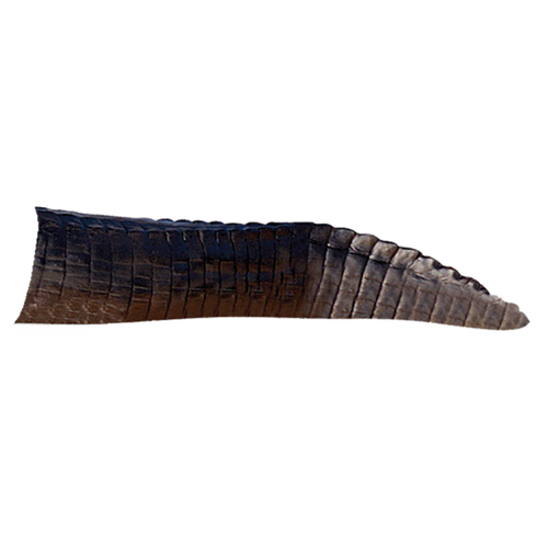 Delta McKenzie - Alligator 3D Archery Target Tail