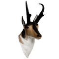Delta McKenzie - Antelope 3D Archery Target Replacement Head