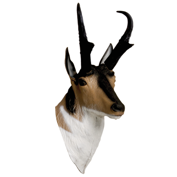 Delta McKenzie - Antelope 3D Archery Target Replacement Head
