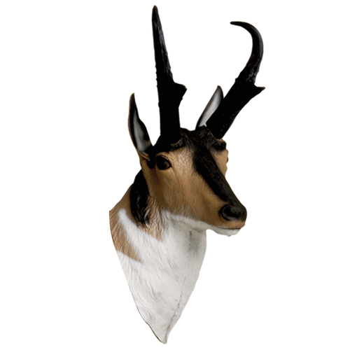 Delta McKenzie - Antelope 3D Archery Target Replacement Head