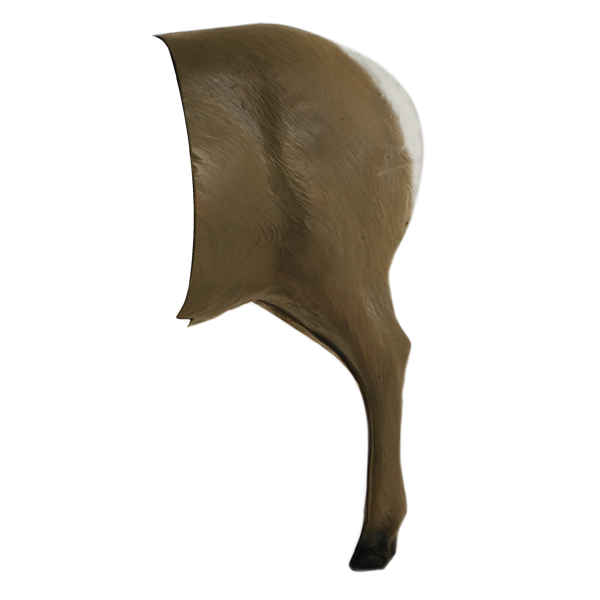 Delta McKenzie - Bighorn Sheep 3D Archery Target Replacement Rear
