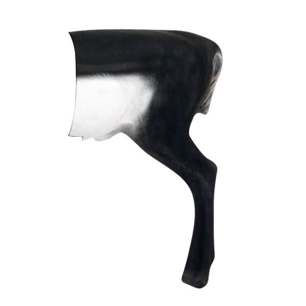 Delta McKenzie - Black Buck 3D Archery Target Rear