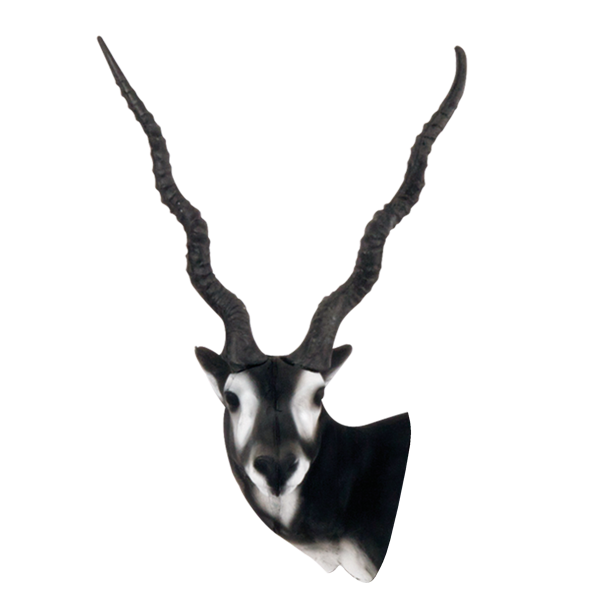 Delta McKenzie - Black Buck Archery Target Replacement Head