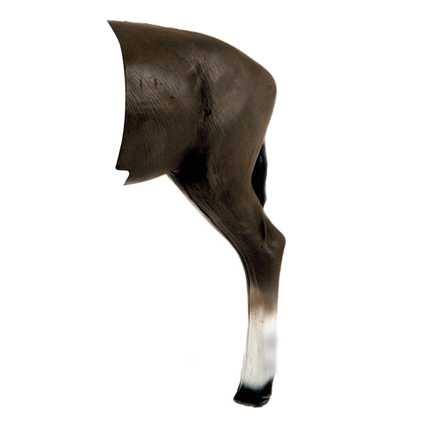 Delta McKenzie - African Blesbok 3D Archery Target Rear