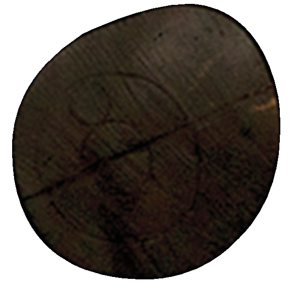 Delta McKenzie - Replacement Core for Chamois Archery Target