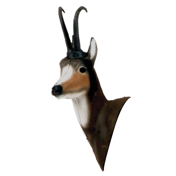 Delta McKenzie - African Blesbok Archery Target Replacement Head