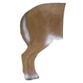 Delta McKenzie - Coyote 3D Archery Target Rear