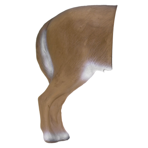 Delta McKenzie - Coyote 3D Archery Target Rear