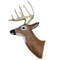 Delta McKenzie - Hill Country Whitetail Archery Target Replacement Head