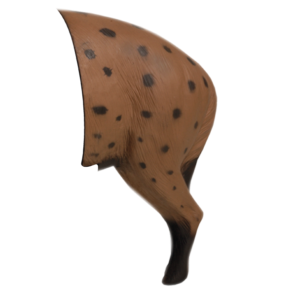 Delta McKenzie - African Hyena 3D Archery Target Rear