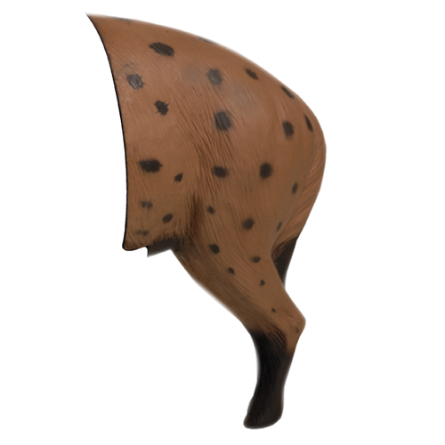 Delta McKenzie - African Hyena 3D Archery Target Rear