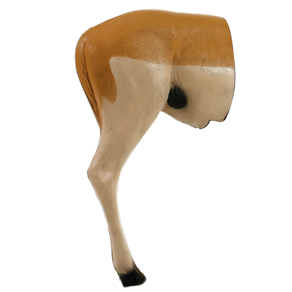 Delta McKenzie - African Impala 3D Archery Target