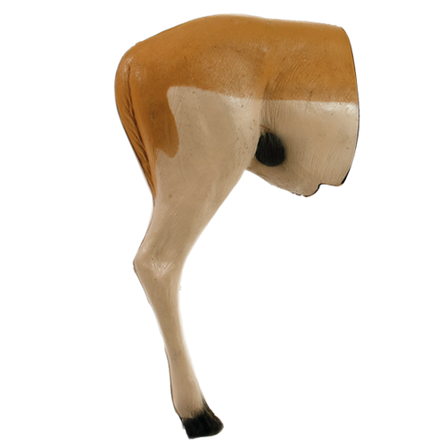 Delta McKenzie - African Impala 3D Archery Target