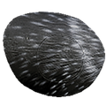 Delta McKenzie- Replacement Core for the Javelina Pro-Series Target
