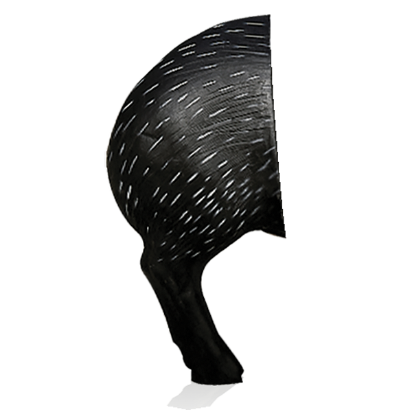 Delta McKenzie - Javelina 3D Archery Target Rear