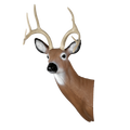 Delta McKenzie- Large Alert Deer Replacement Head