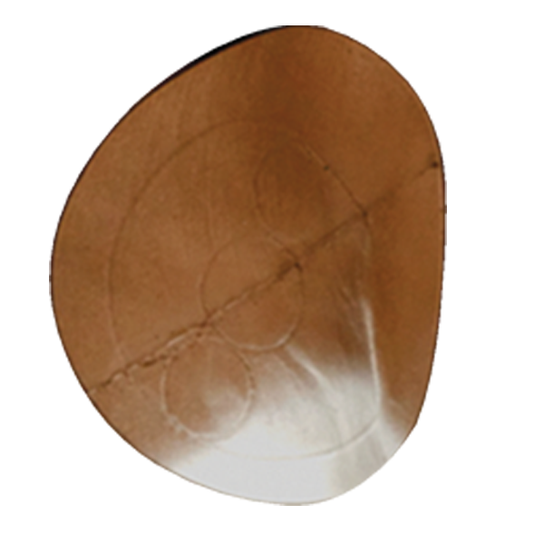 Delta McKenzie - Replacement Core for the Lion 3D Archery Target