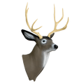 Delta McKenzie- Mule Deer Archery Target Replacement Head