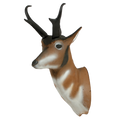 Delta McKenzie - Pronghorn Antelope Archery Target Replacement Head