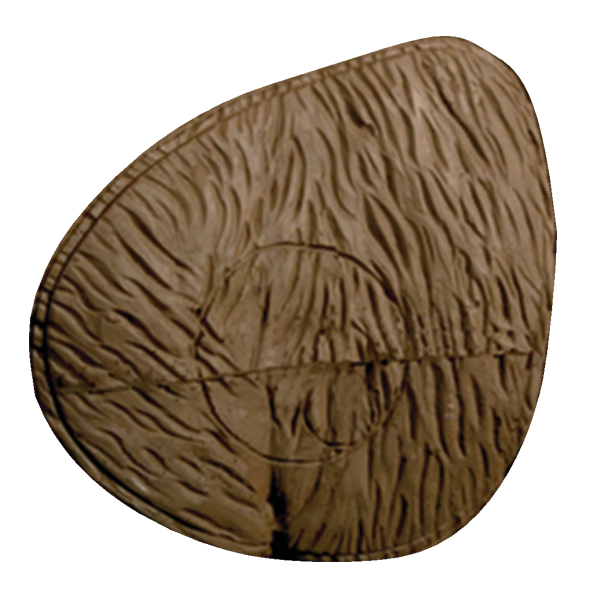 Delta McKenzie - Walking Brown Bear Replacement Core