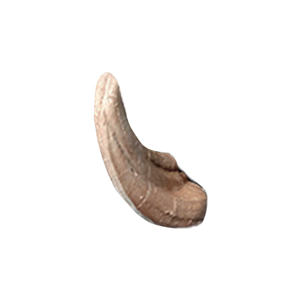 African Warthog Archery Target Replacement Tusks